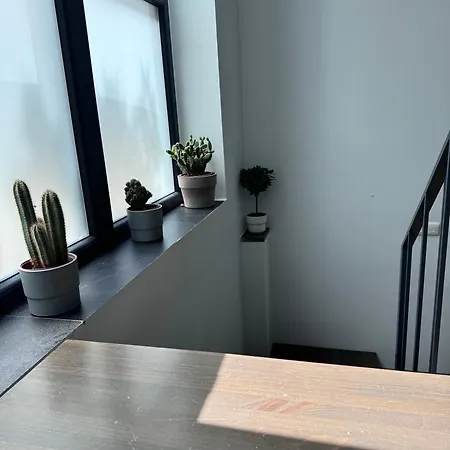Elephant Loft Apartamento Málaga
